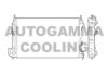 AUTOGAMMA 103238 Radiator, engine cooling